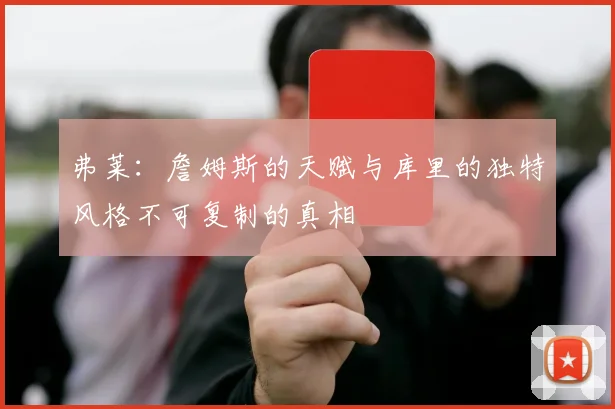 弗莱：詹姆斯的天赋与库里的独特风格不可复制的真相